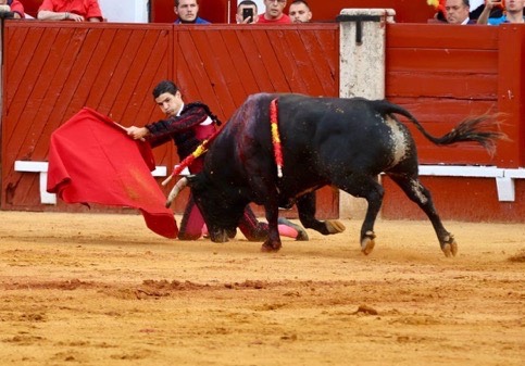 Imagen 7