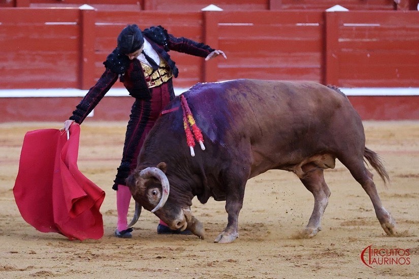 Imagen 15