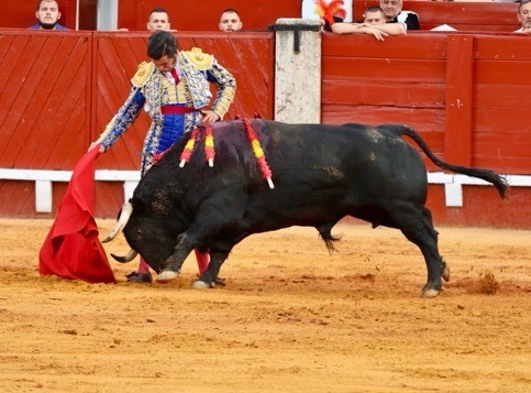 Imagen 11