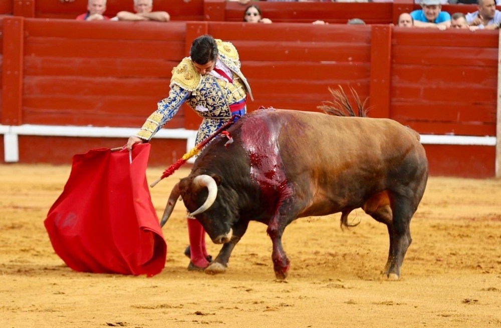 Imagen 1