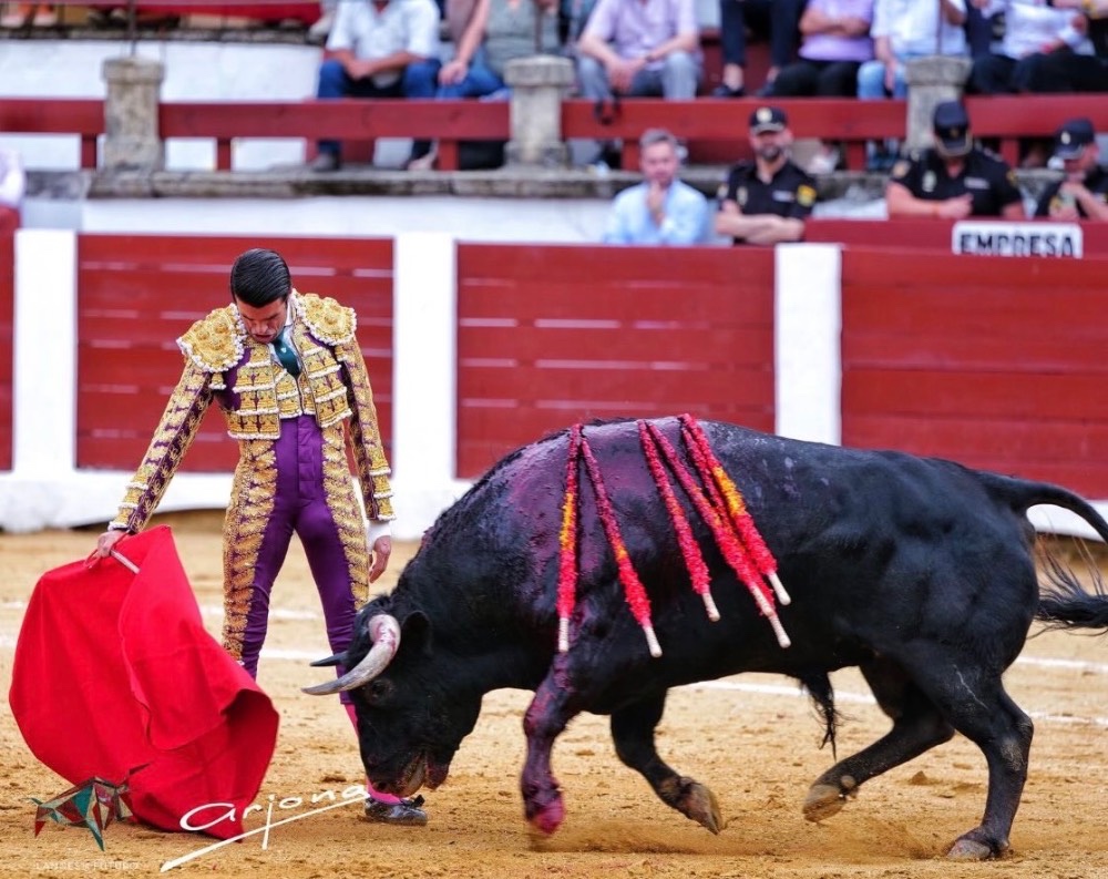 Imagen 3