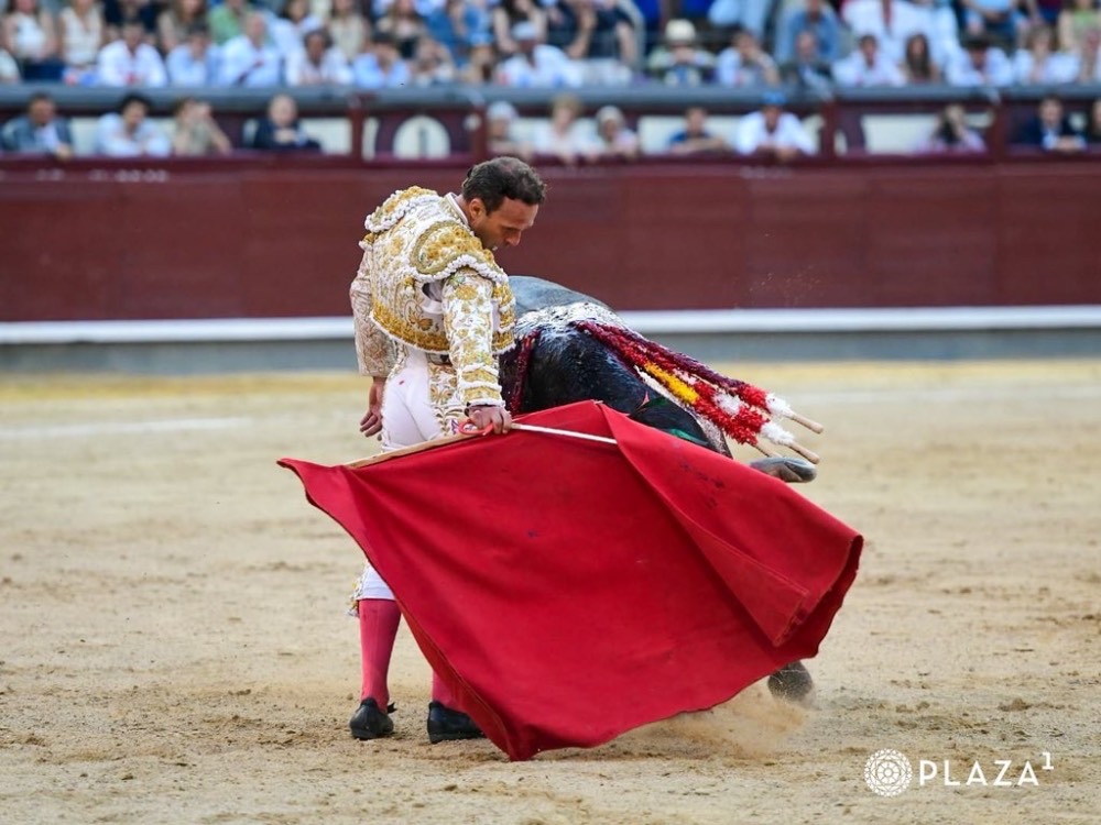 Imagen 1