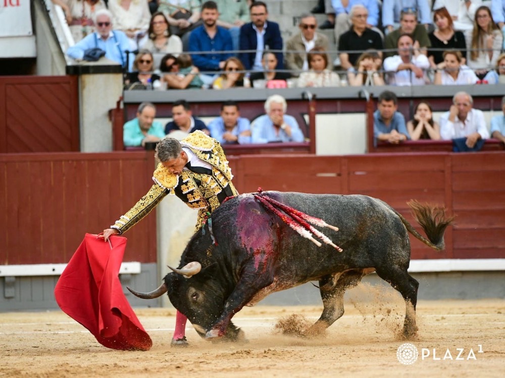 Imagen 2