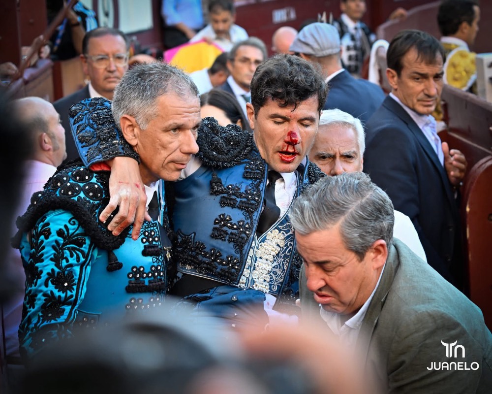 Imagen 1