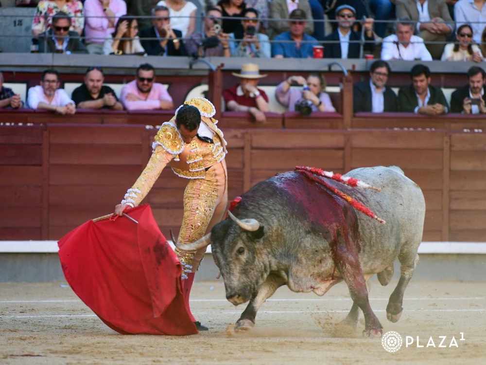 Imagen 2