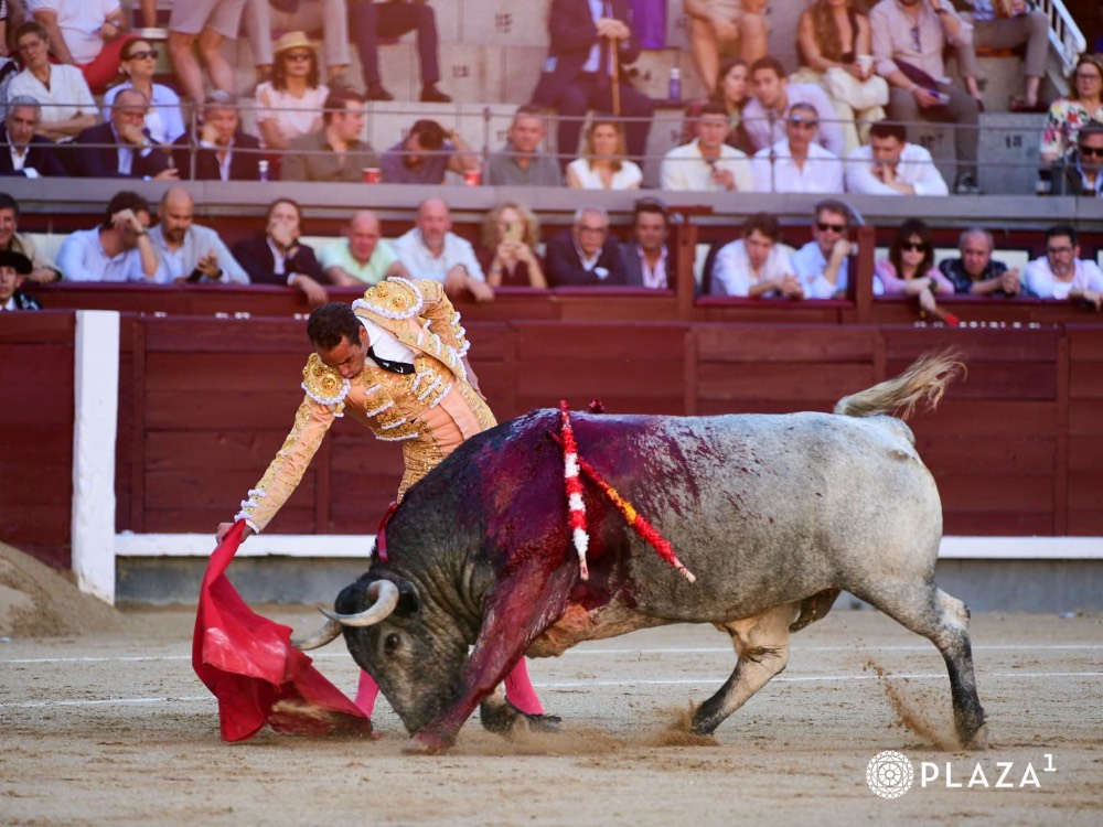 Imagen 1