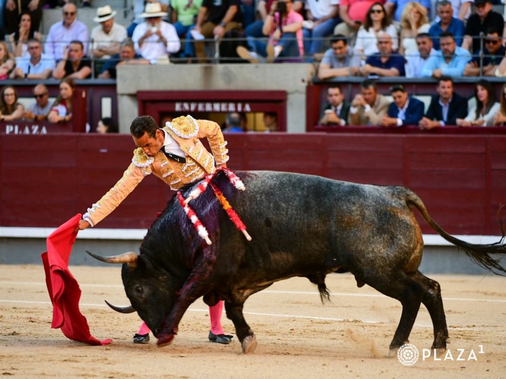 Imagen 9
