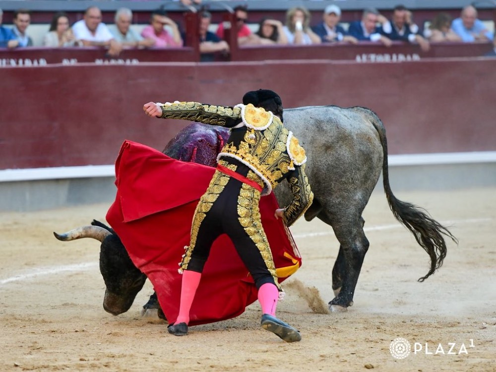 Imagen 11