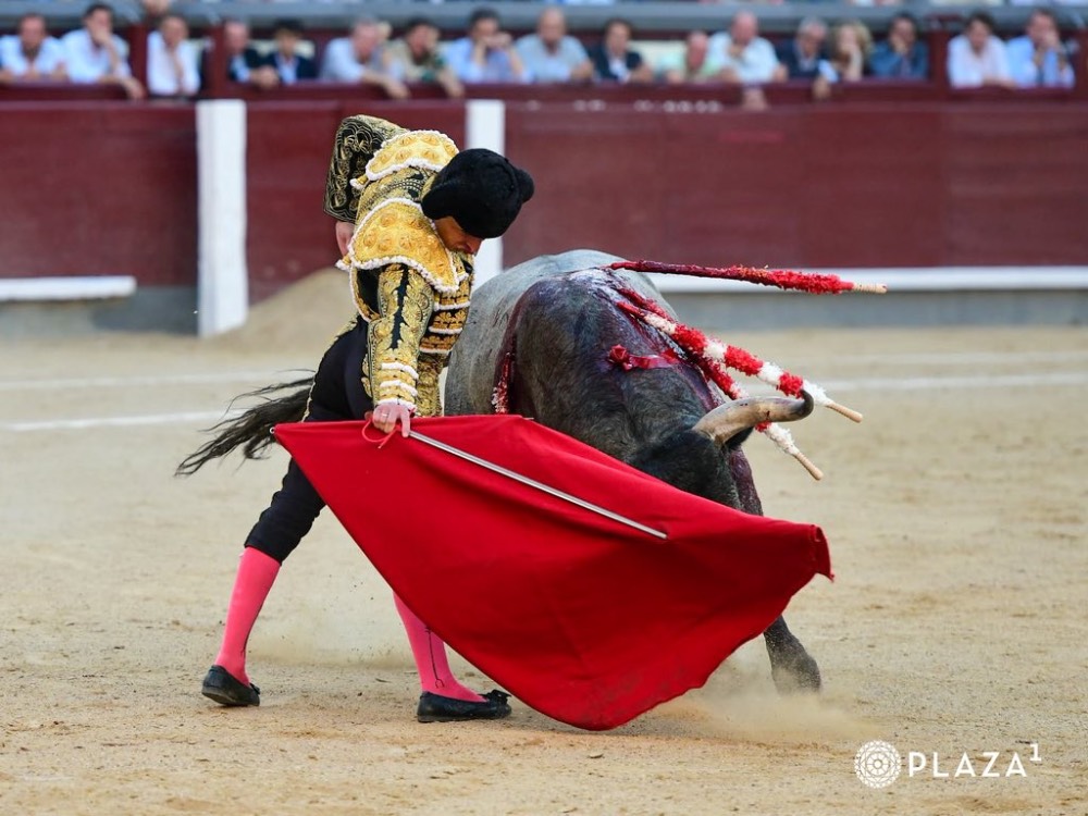Imagen 12