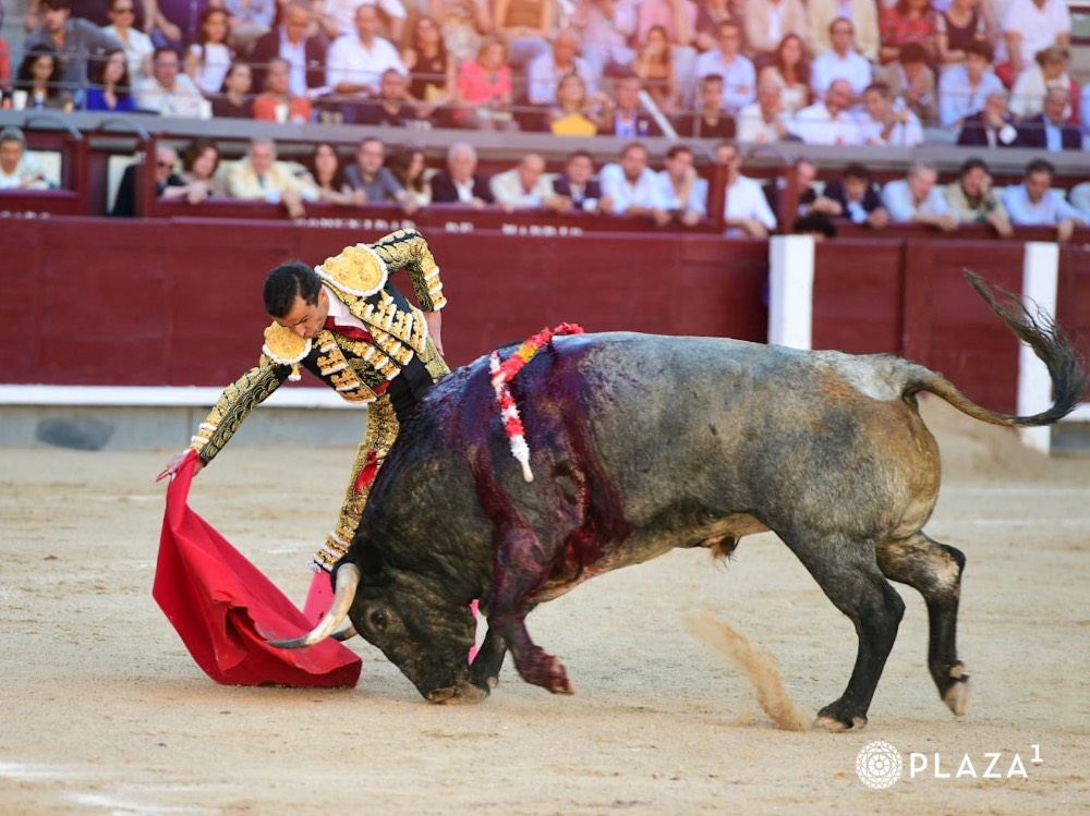 Imagen 4