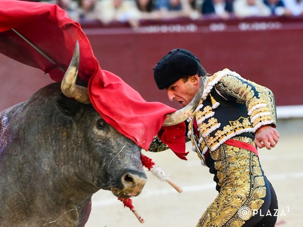 Imagen 10