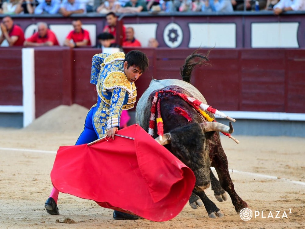 Imagen 6