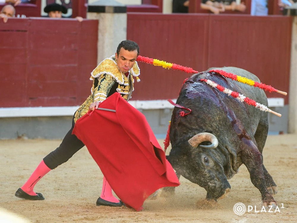 Imagen 3