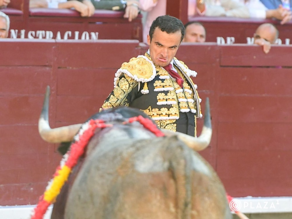 Imagen 5