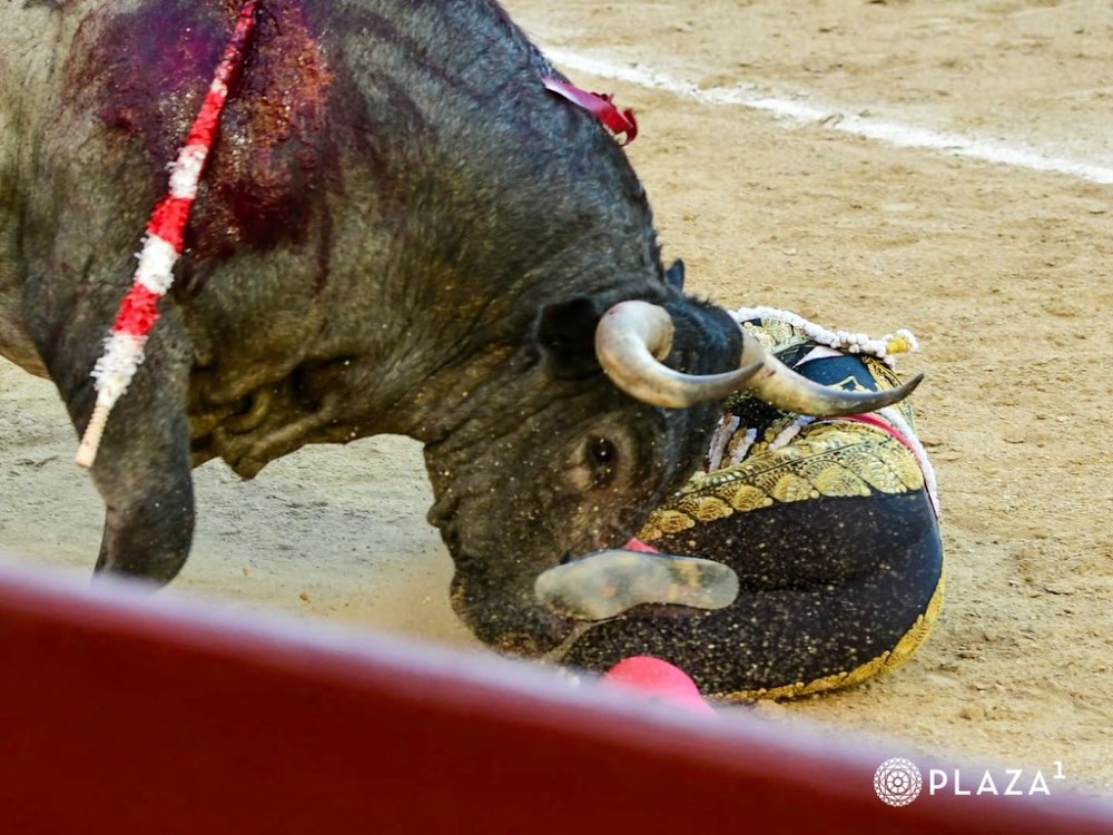 Imagen 13