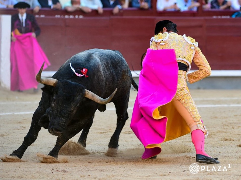 Imagen 8