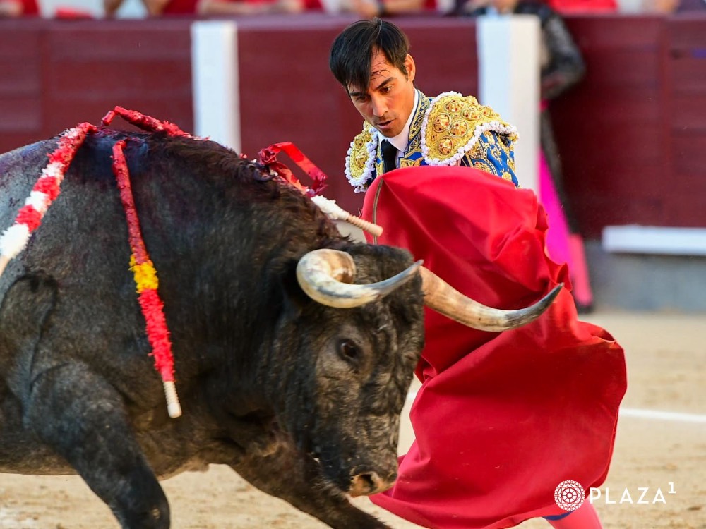 Imagen 7