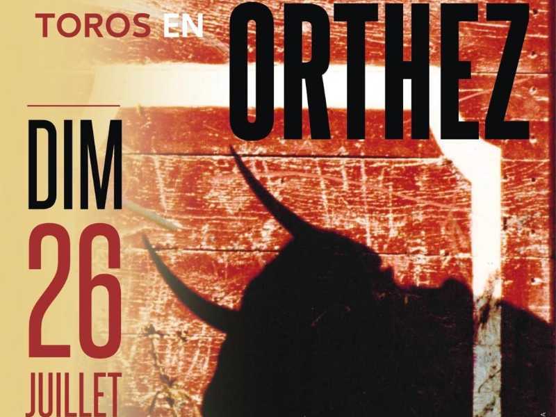 Orthez anuncia su gran jornada taurina del 26 de julio de 2026 con novillada matinal y corrida vespertina