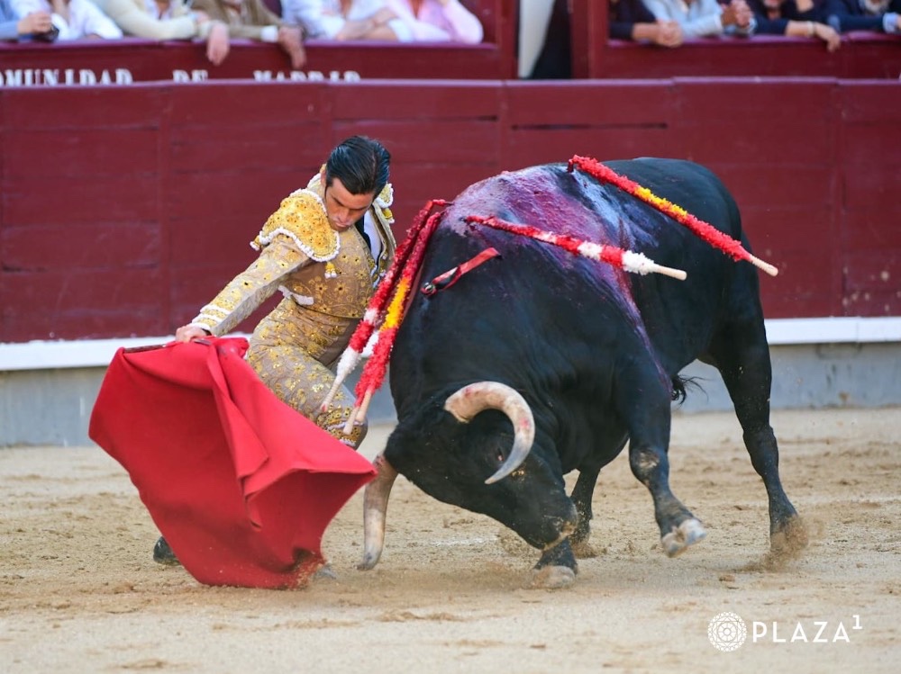 Imagen 1