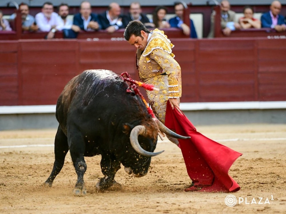 Imagen 5