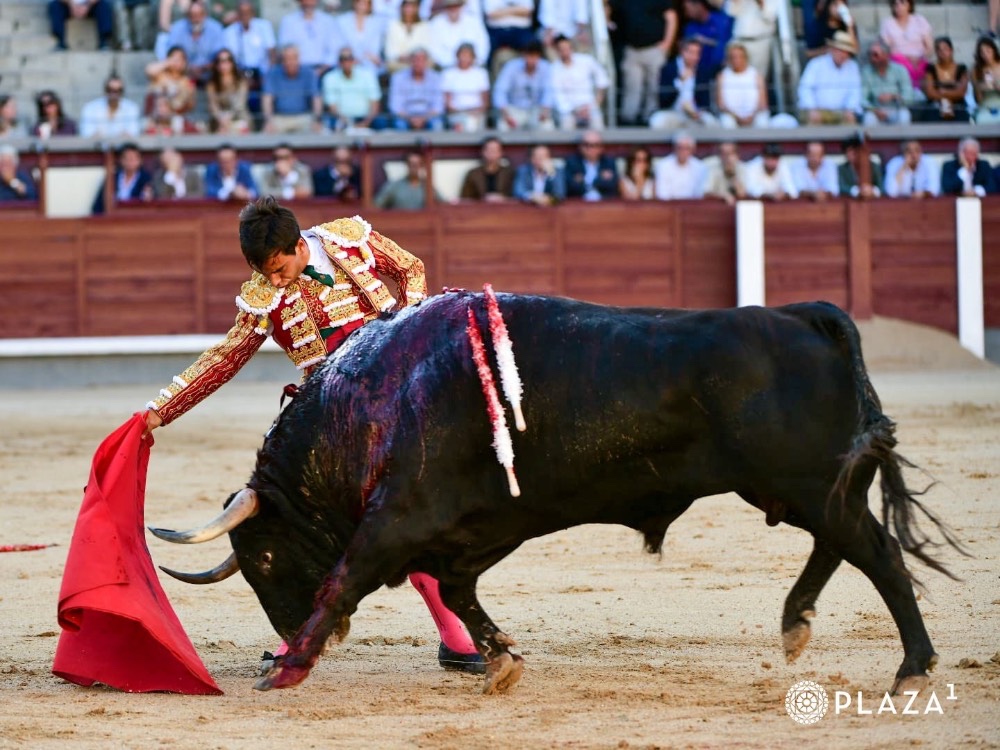 Imagen 2