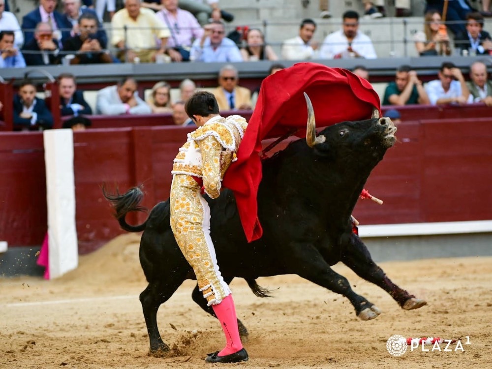 Imagen 3