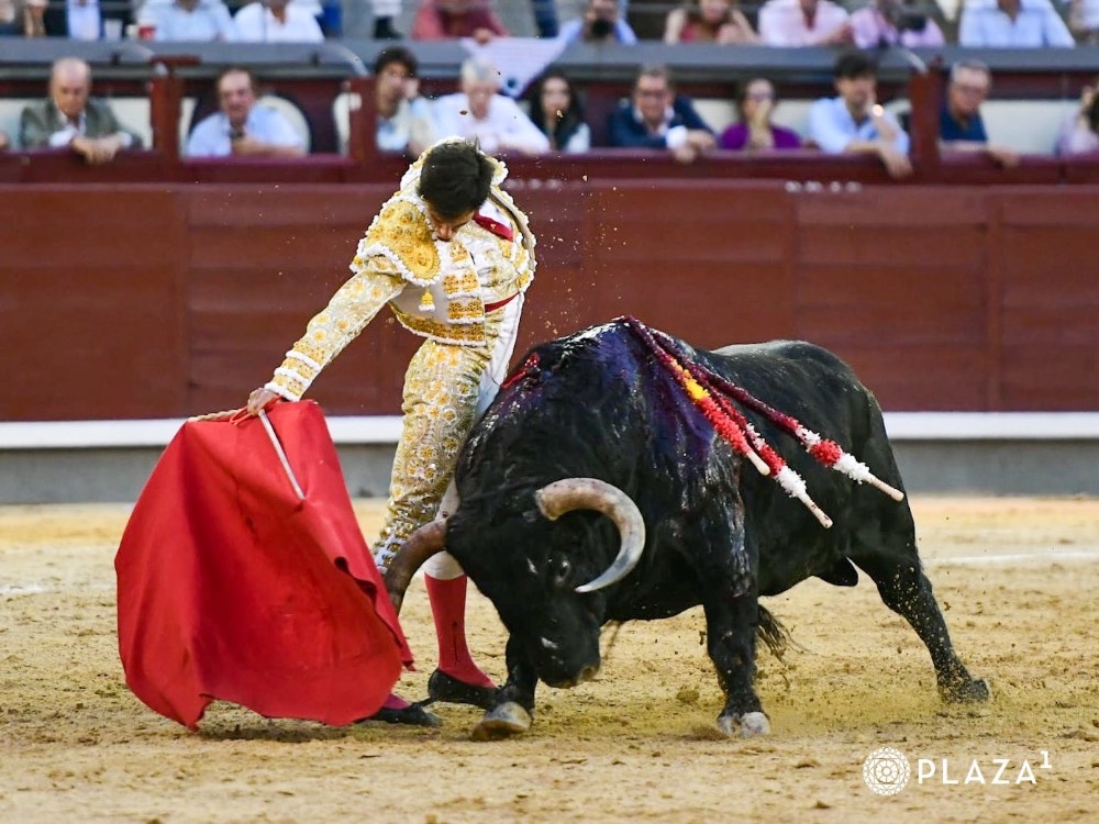 Imagen 6