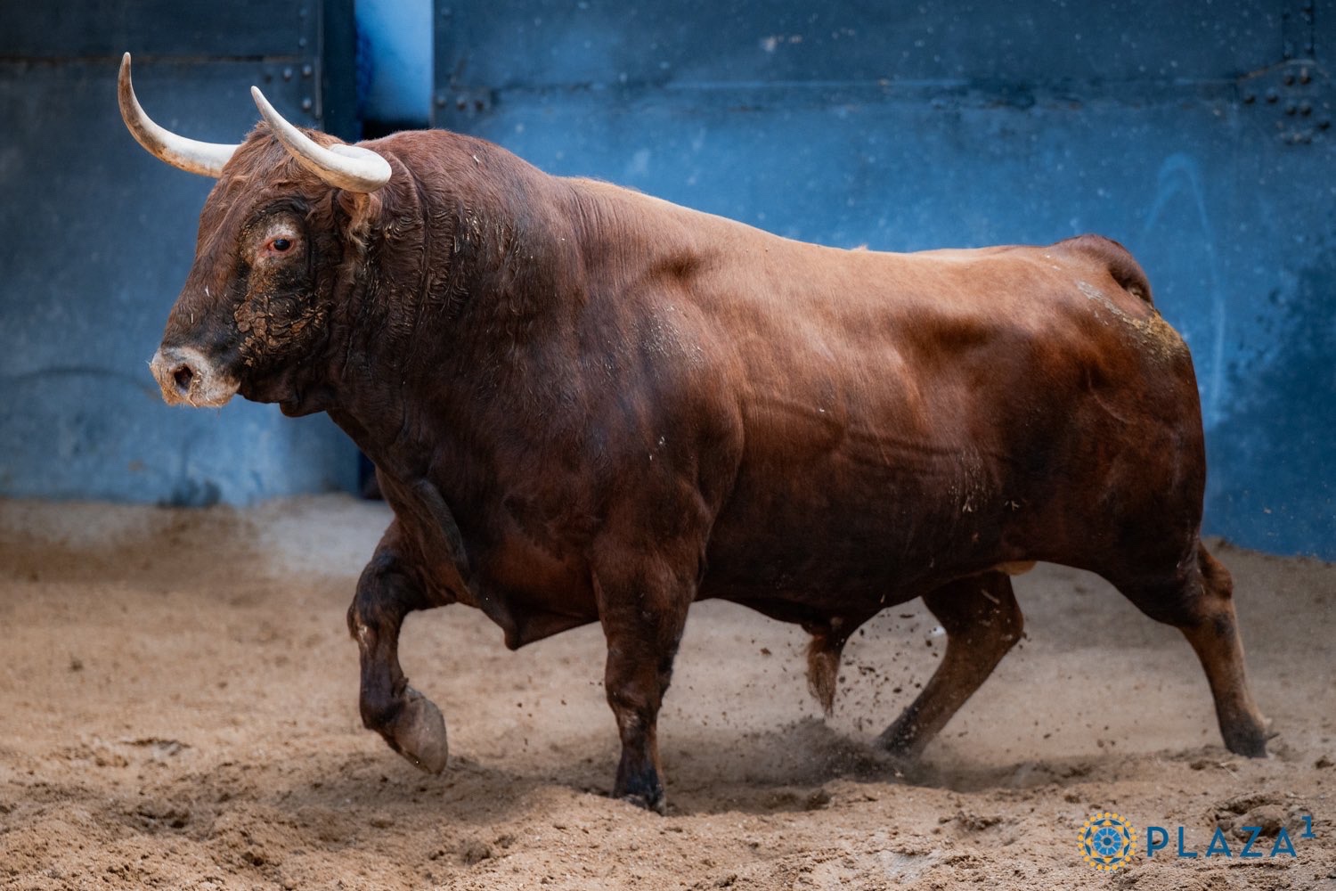 Baladuero
