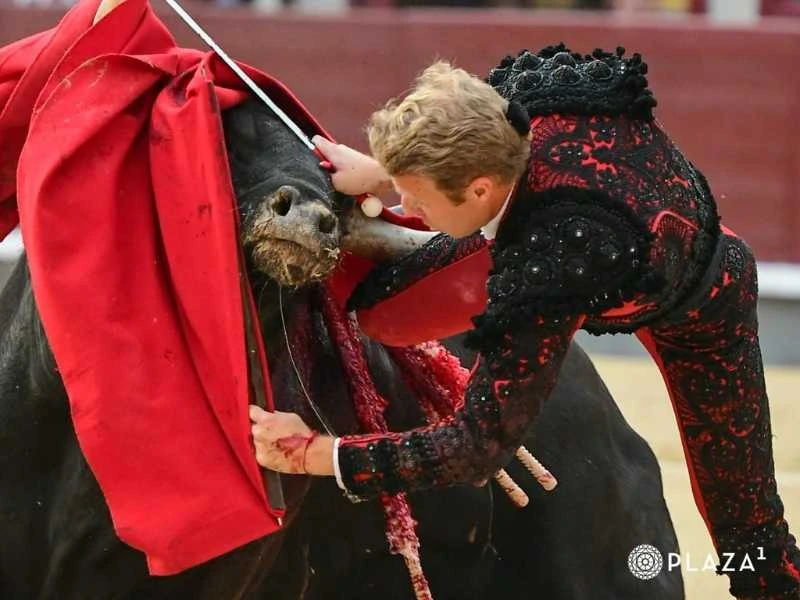 Grave susto para Clemente tras ser prendido por el quinto toro de la tarde