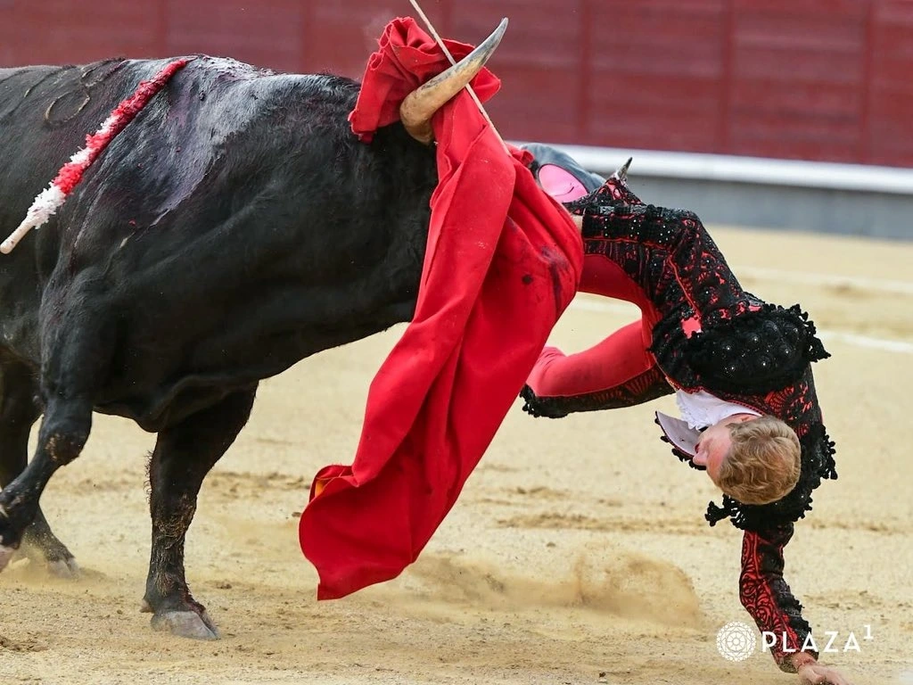 Imagen 1