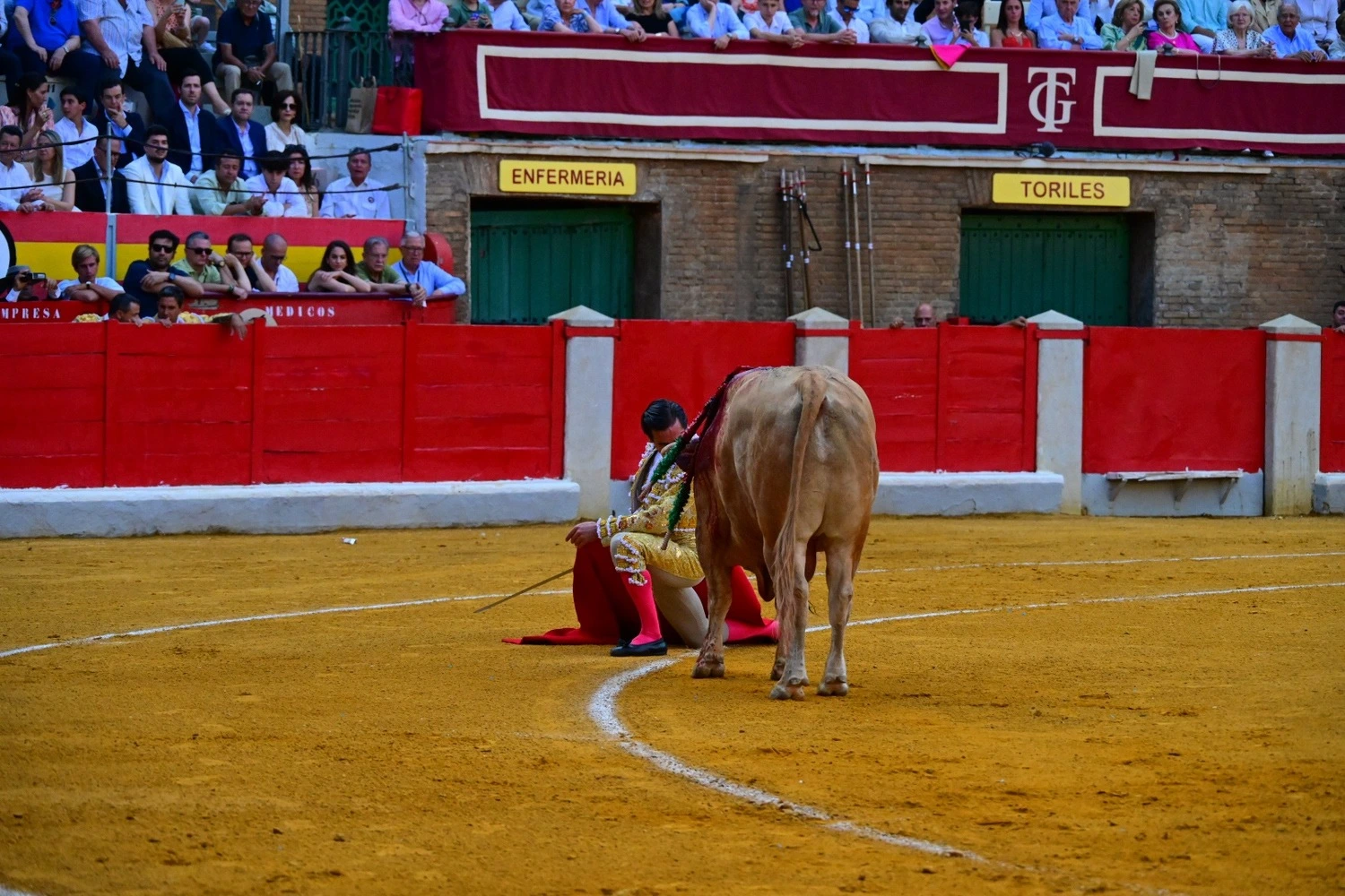 Imagen 1