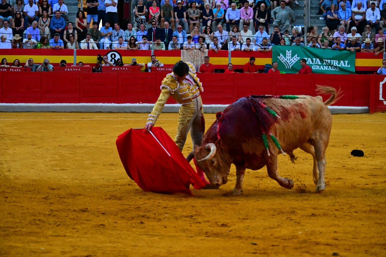Imagen 2