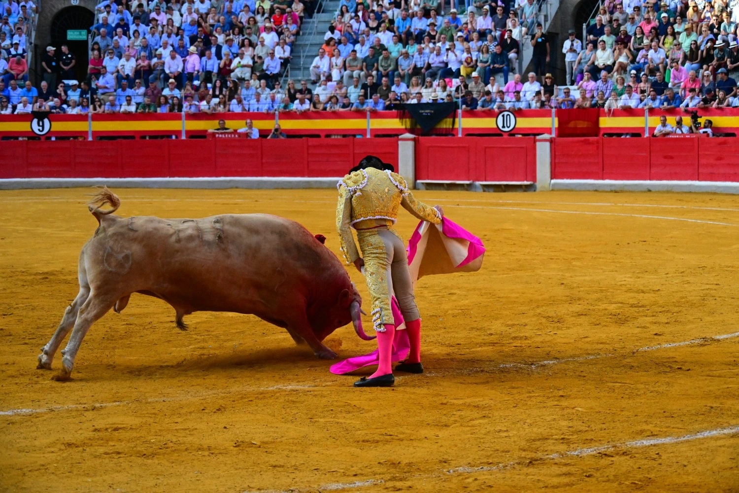 Imagen 3