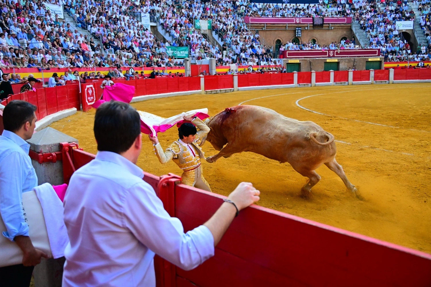 Imagen 4