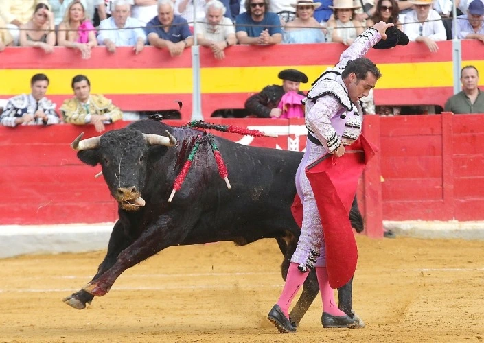 Imagen 2