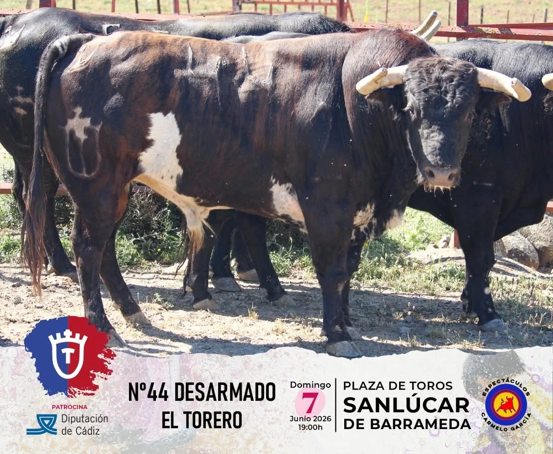 Imagen 2