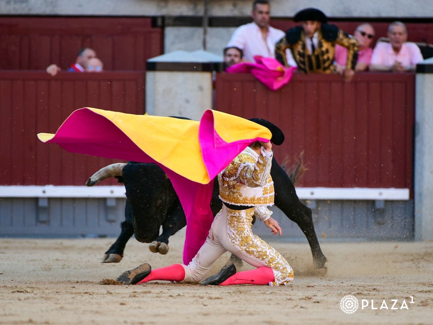 Imagen 5