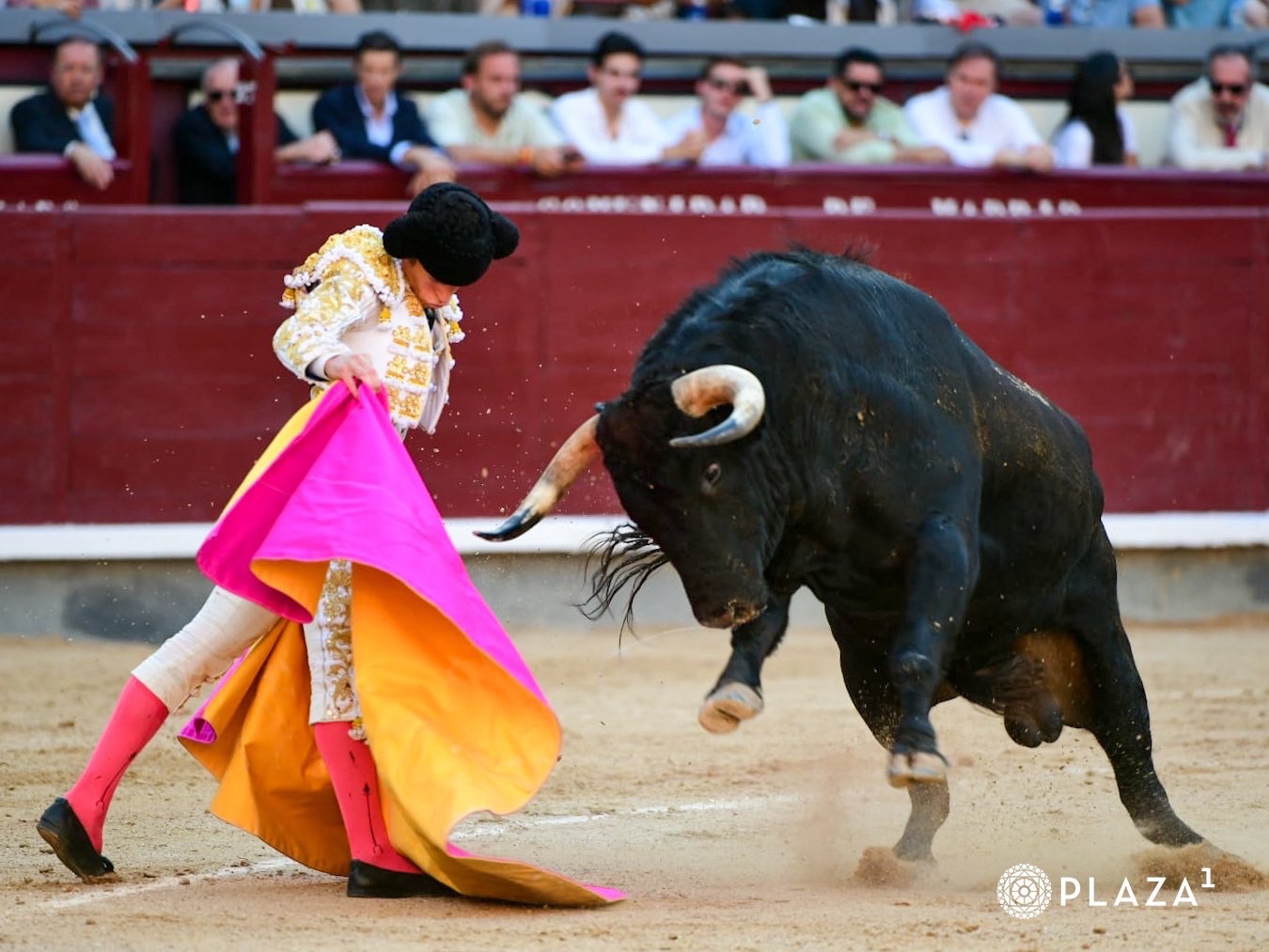 Imagen 8