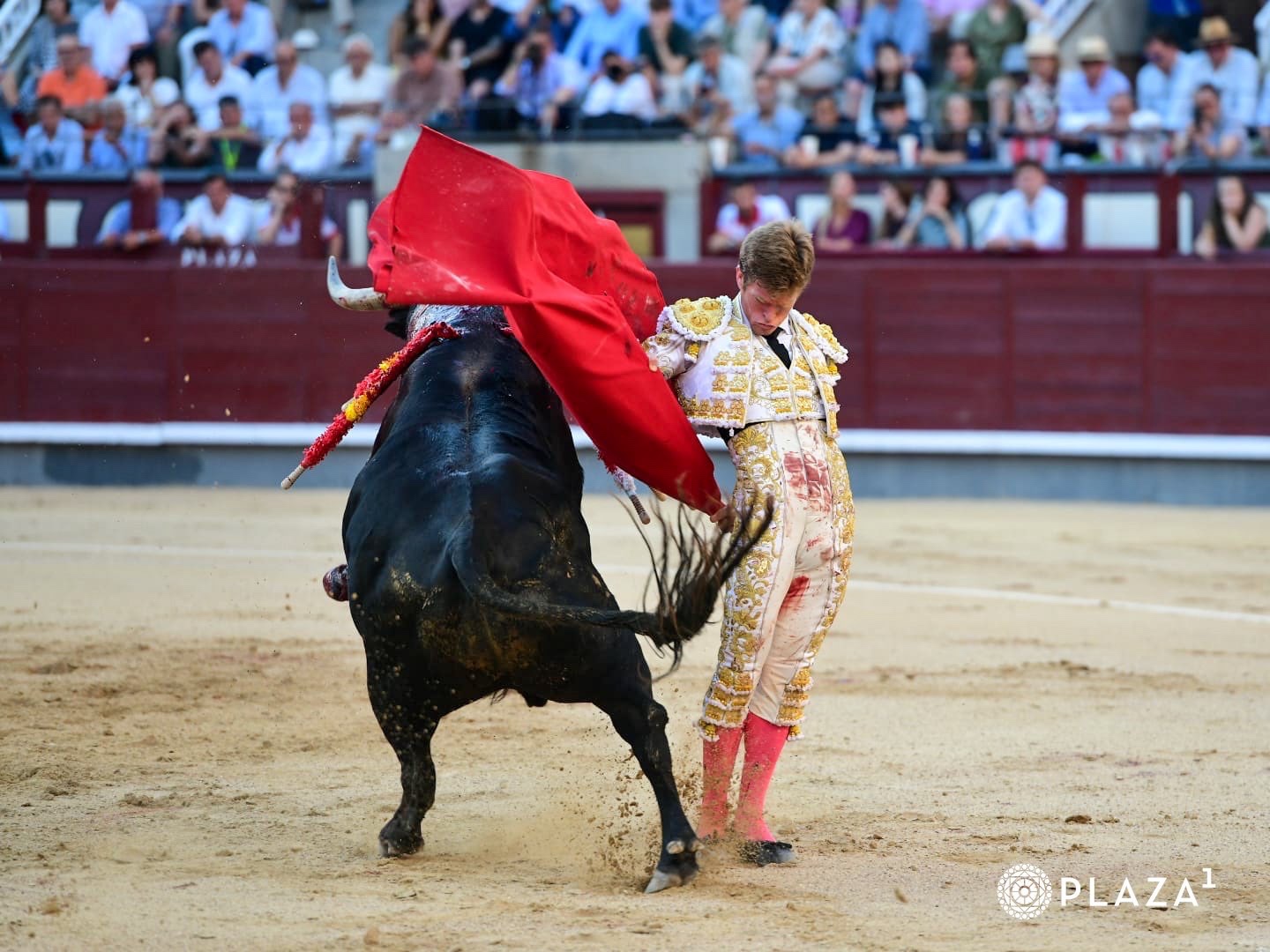 Imagen 13
