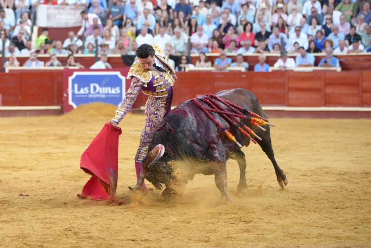 Imagen 7