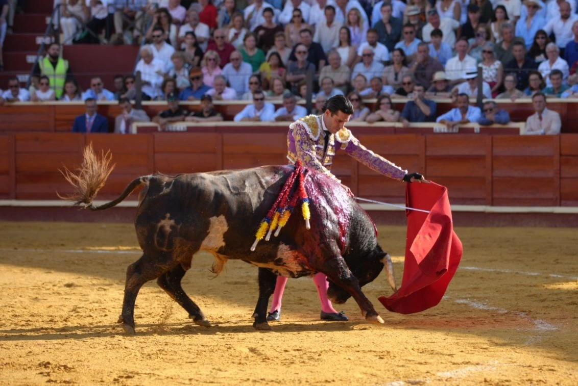 Imagen 15