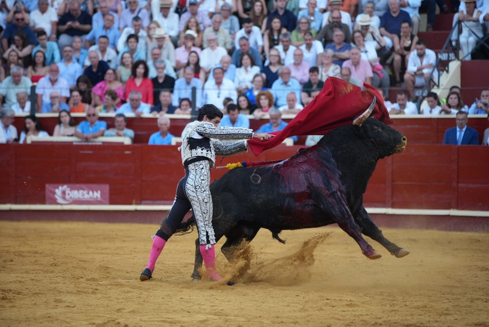 Imagen 33