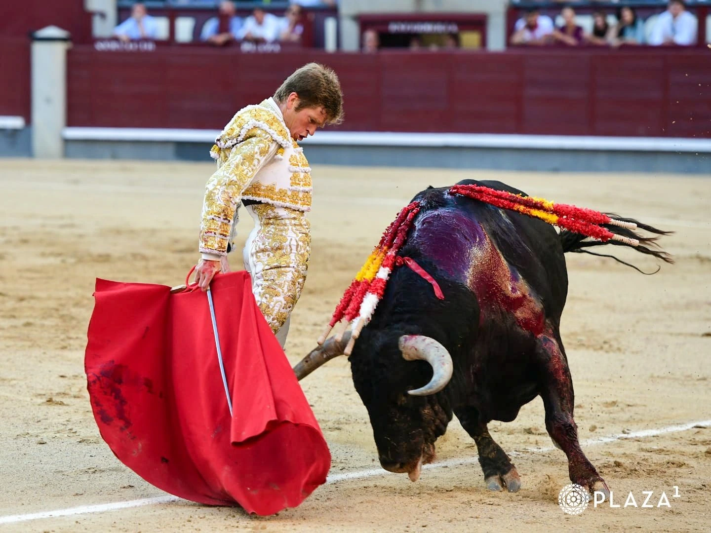 Imagen 5