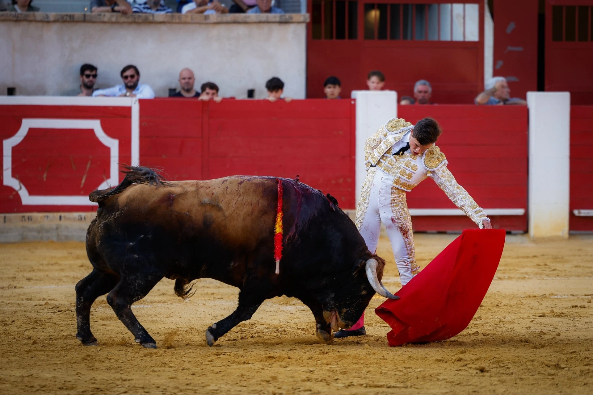 Imagen 8