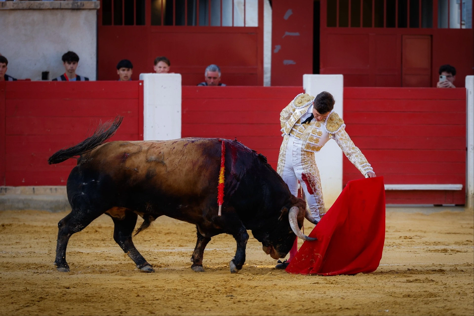 Imagen 10