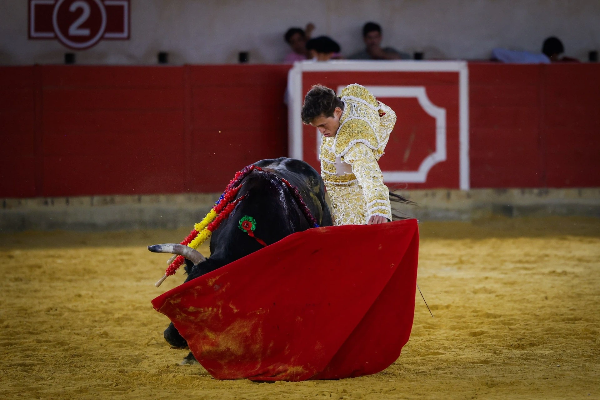Imagen 19