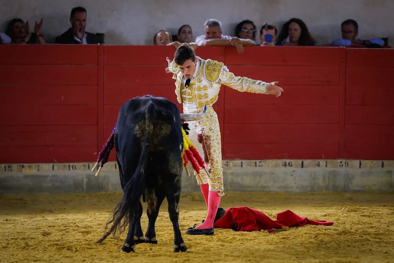 Imagen 7