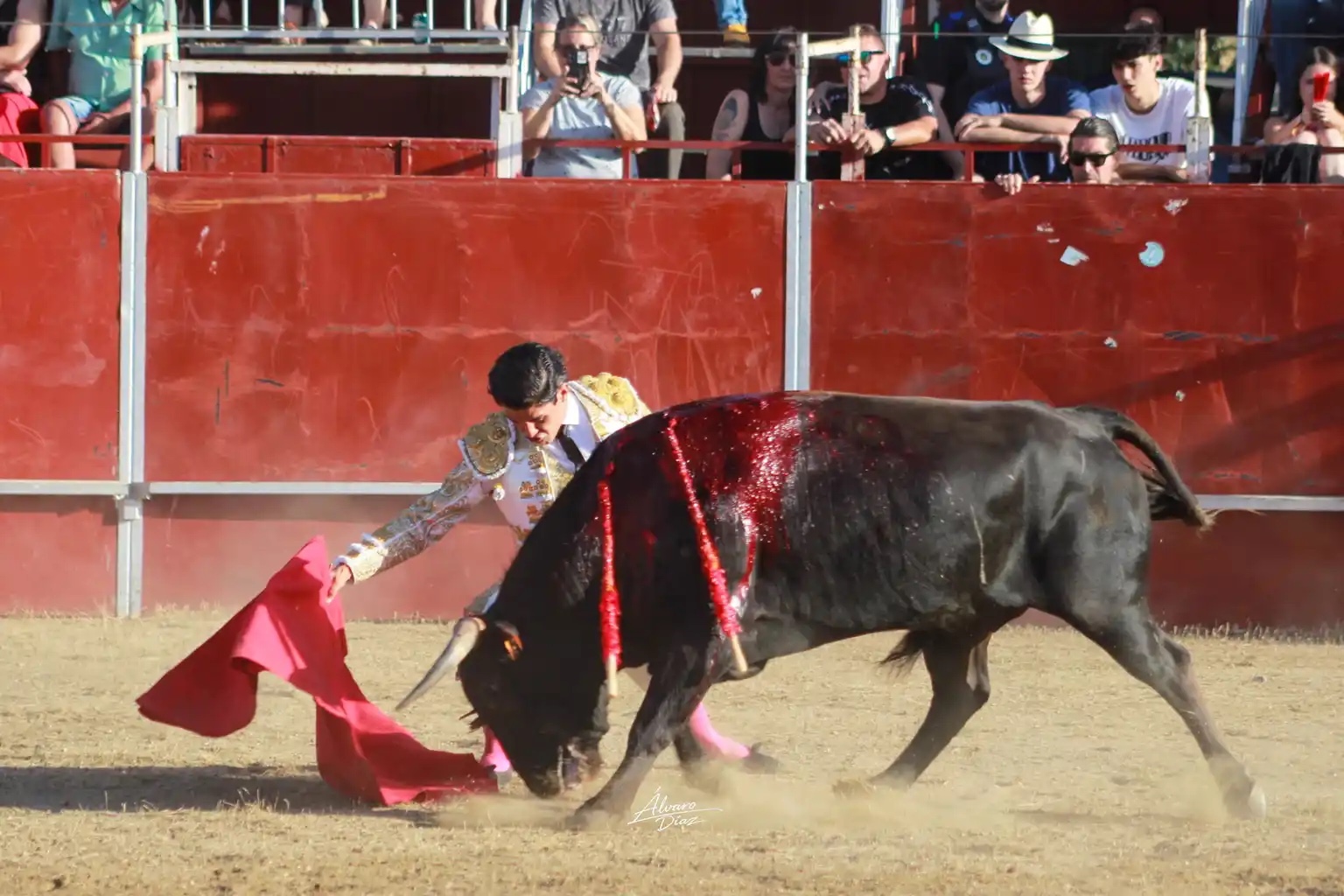 Imagen 2