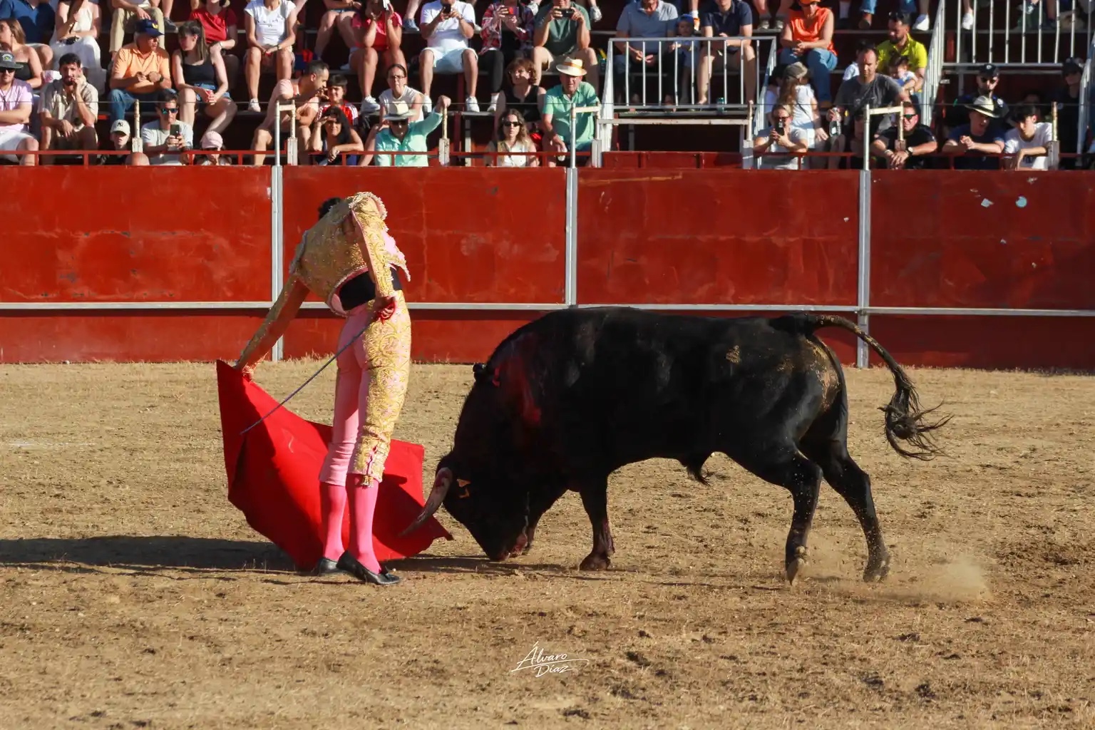 Imagen 3