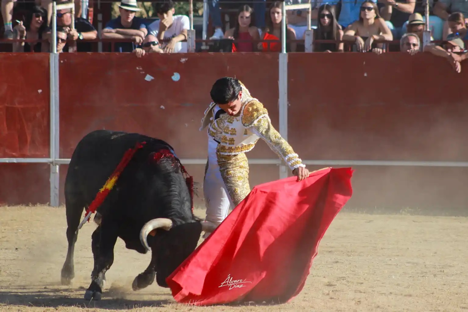 Imagen 4